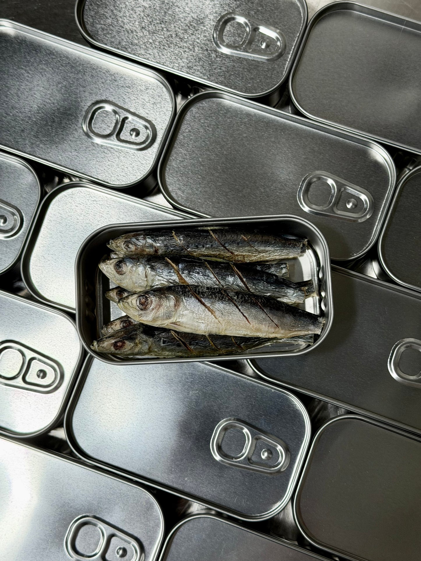 Sardines