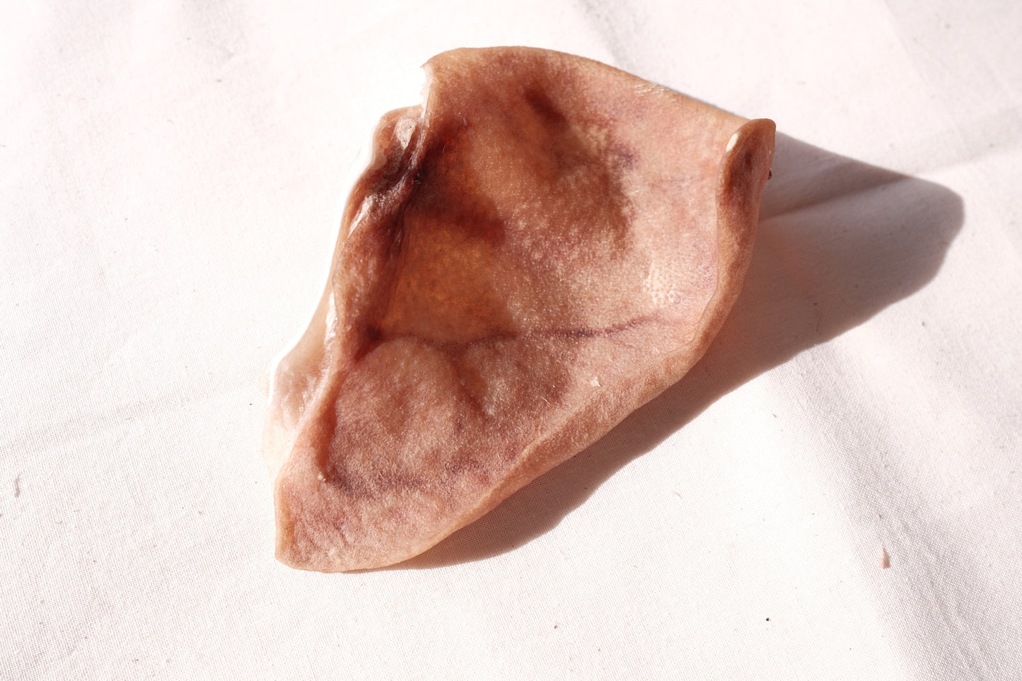 Pig Ear