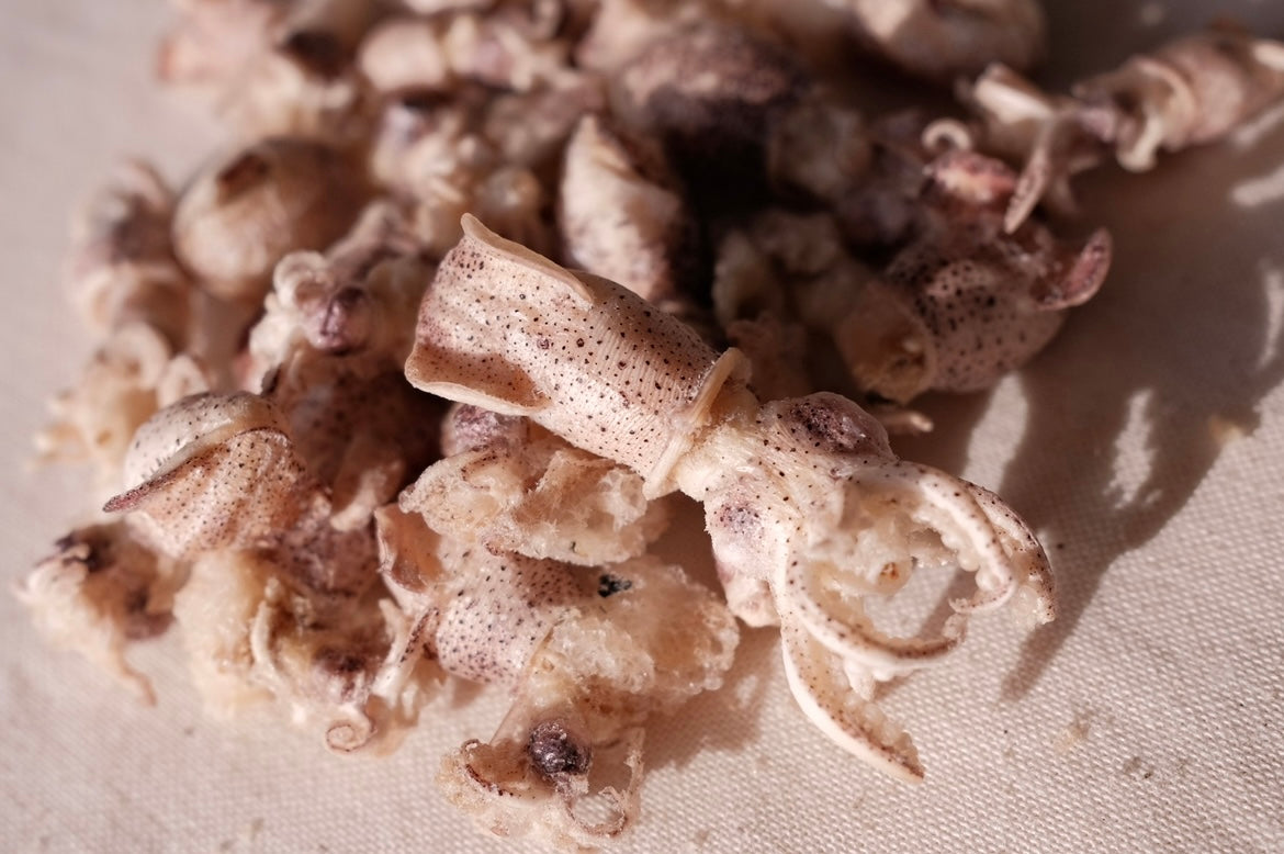Squid Popcorn