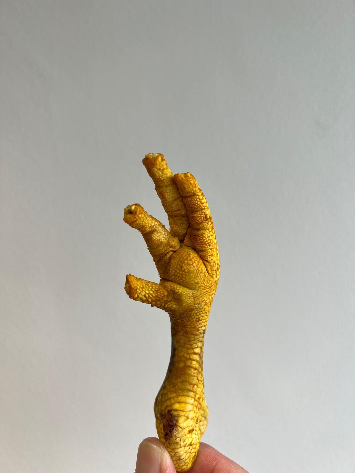 Golden Paste Chicken Feet