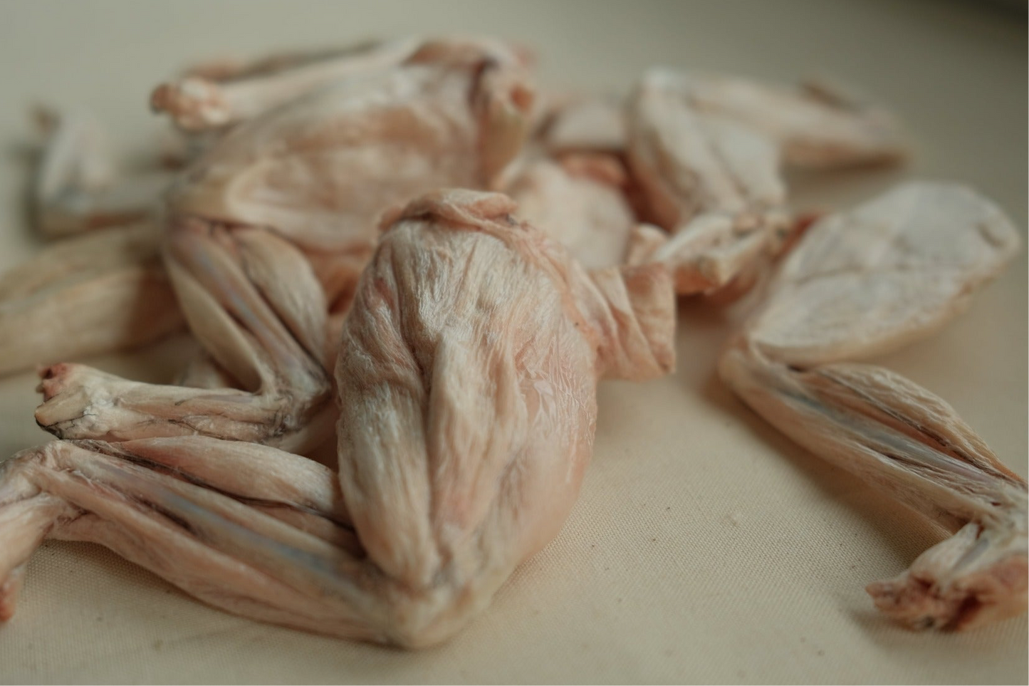 Frog's Legs
