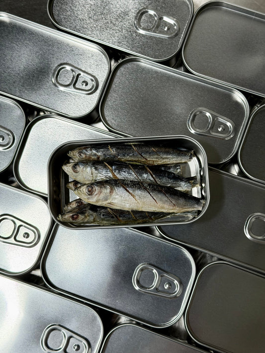 Sardines
