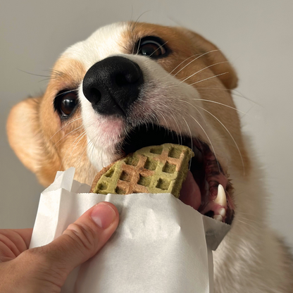 Pandan Waffle