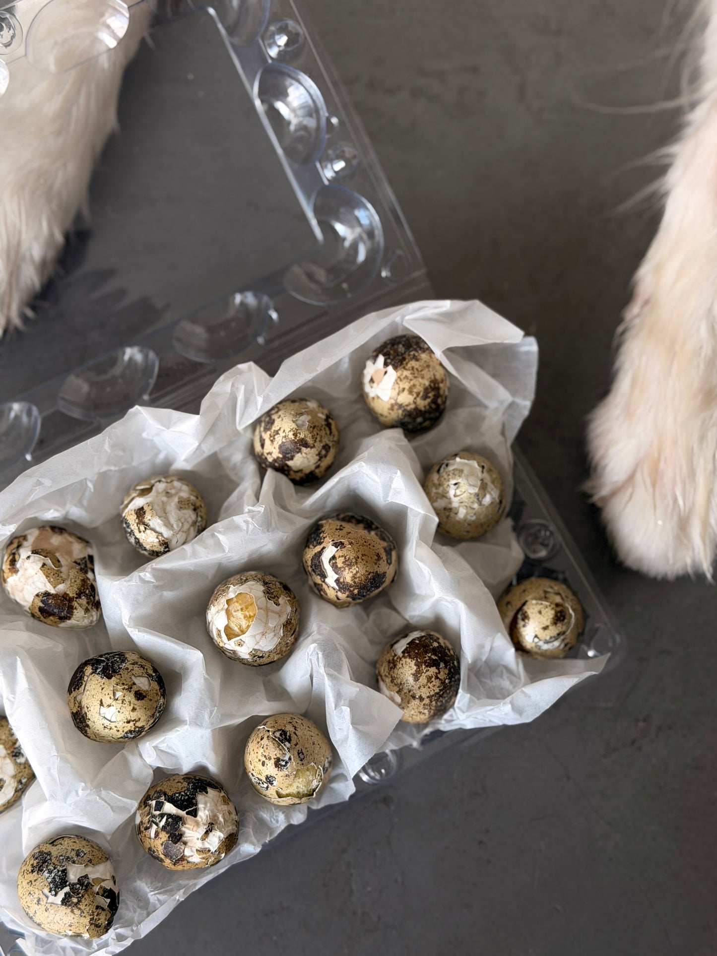 “Tea” quail eggs