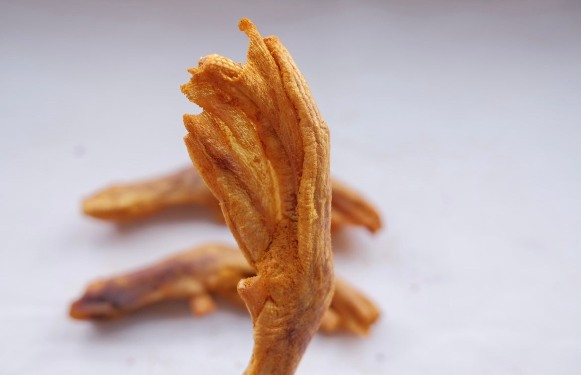 Golden Paste Duck Web